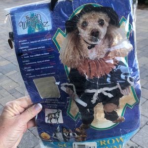 Dog costume